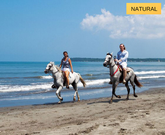 cartagena-tours-paseo-a-caballo